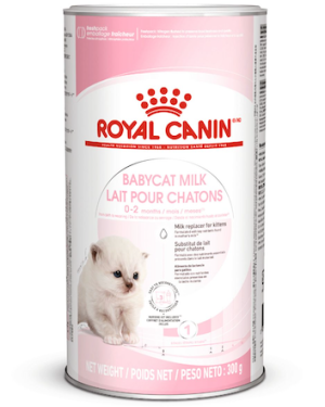 Royal Canin Babycat milk 300 g