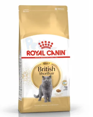 Royal Canin British Shorthair Adulte 2 Kg
