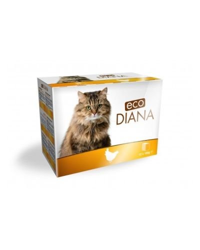ECO DIANA – PÂTÉ EN BARQUETTE AU POULET POUR CHAT 12*100G